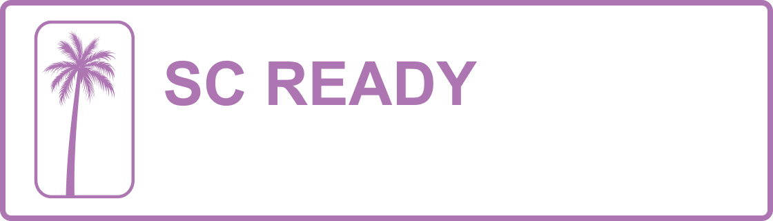 South Carolina Palmetto Assessment of State Standards